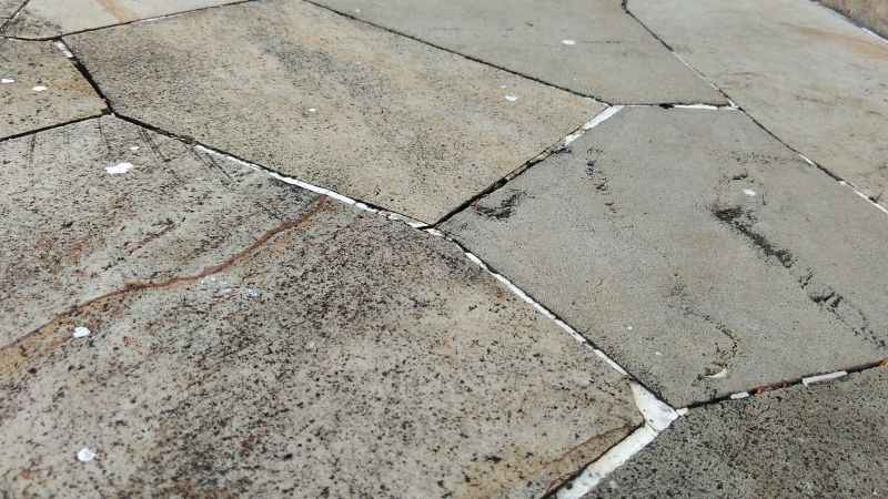 Grout Restoration detail
